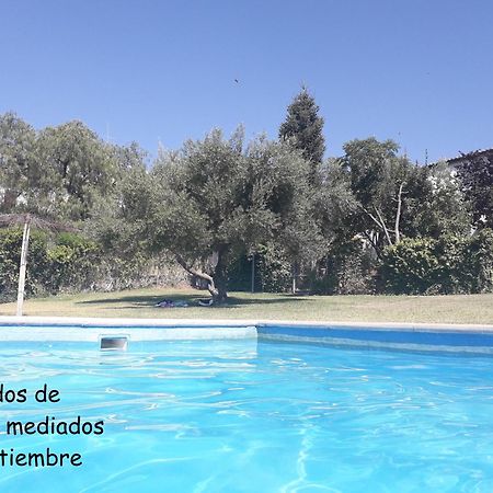 Ferienwohnung Piso Blanco Ronda Exterior foto